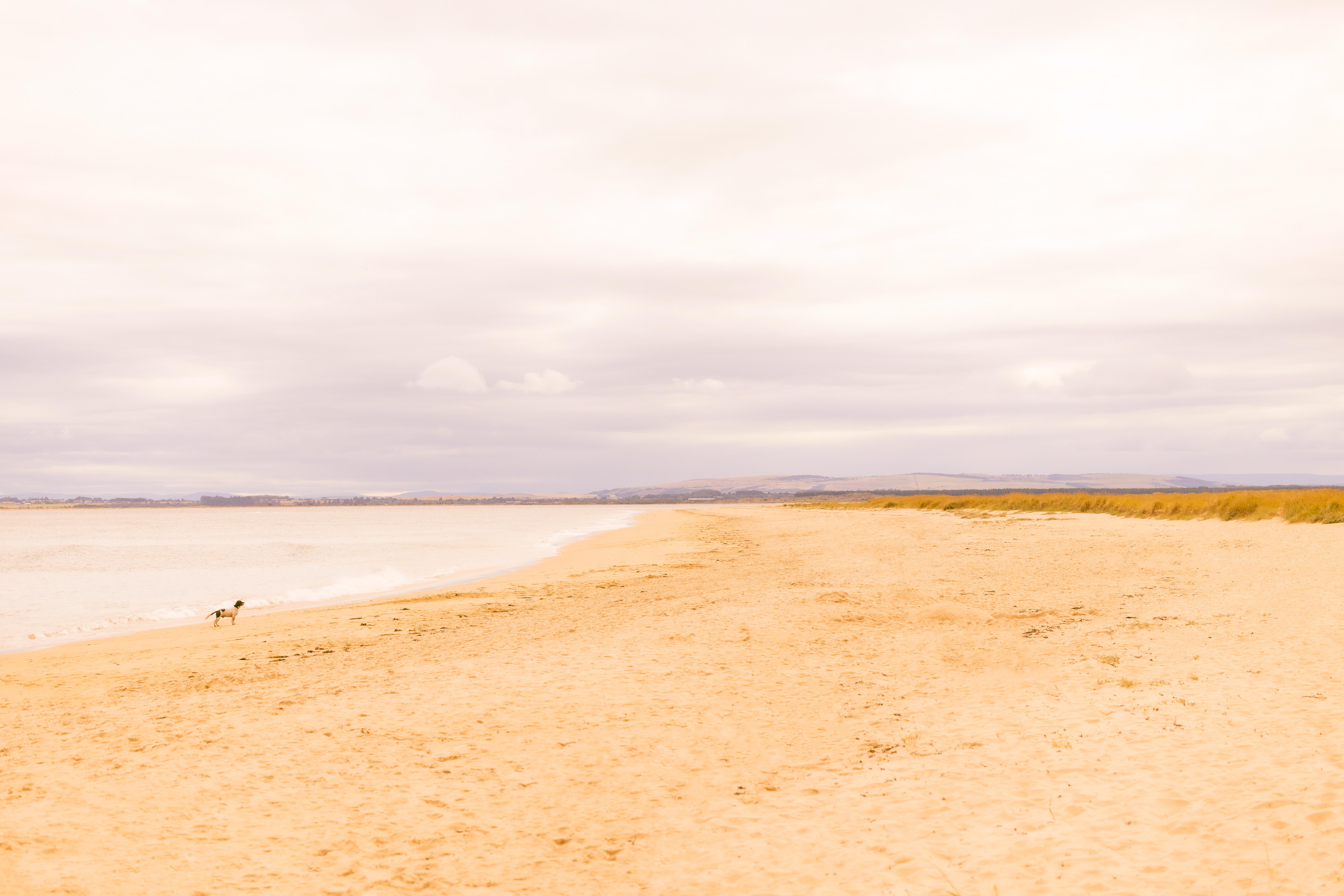 Dornoch Station Hotel Exterior photo The beach at West Bay